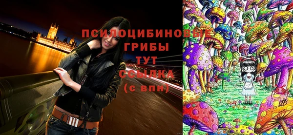 герыч Алзамай