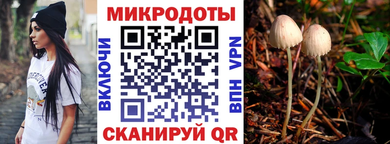 Галлюциногенные грибы прущие грибы  мориарти какой сайт  блэк спрут зеркало  Качканар  где купить наркоту 