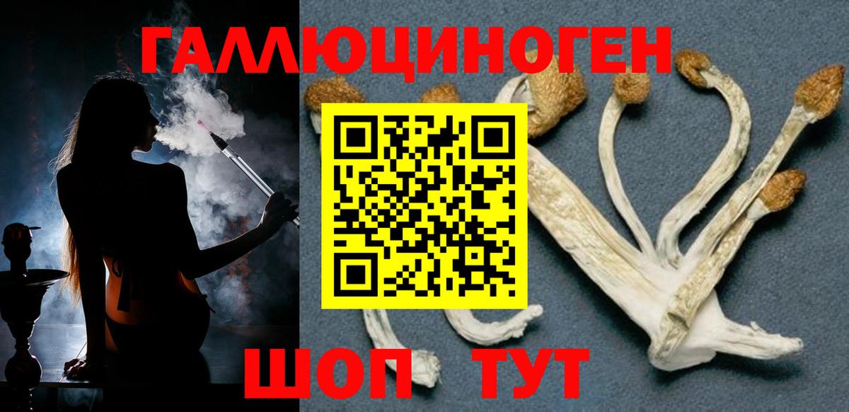 Галлюциногенные грибы Psilocybine cubensis Качканар