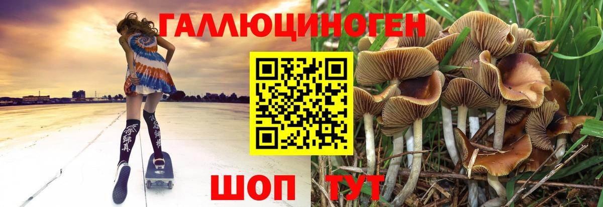 Галлюциногенные грибы GOLDEN TEACHER  Вход с VPN  Качканар 